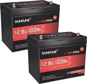 2 pack 12.8V 100Ah Mini LiFePO4 Lithium Battery, Built-in 100A BMS,1280Wh, Up to 6000  Cycles 10-Year Lifespan Perfect for RV, Solar, Marine and Home Energy Storage
