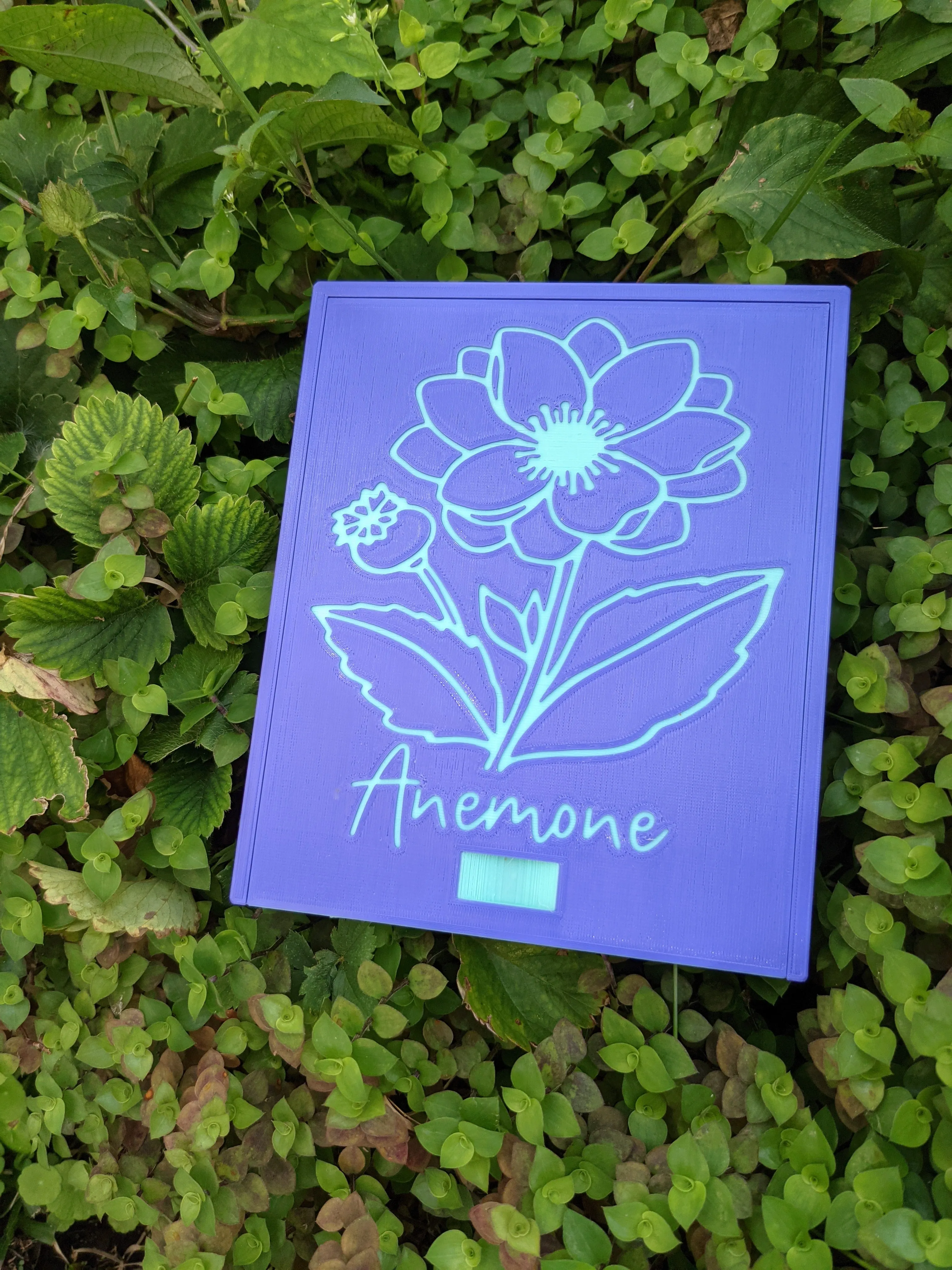 3D printed Notions Box--Anemone