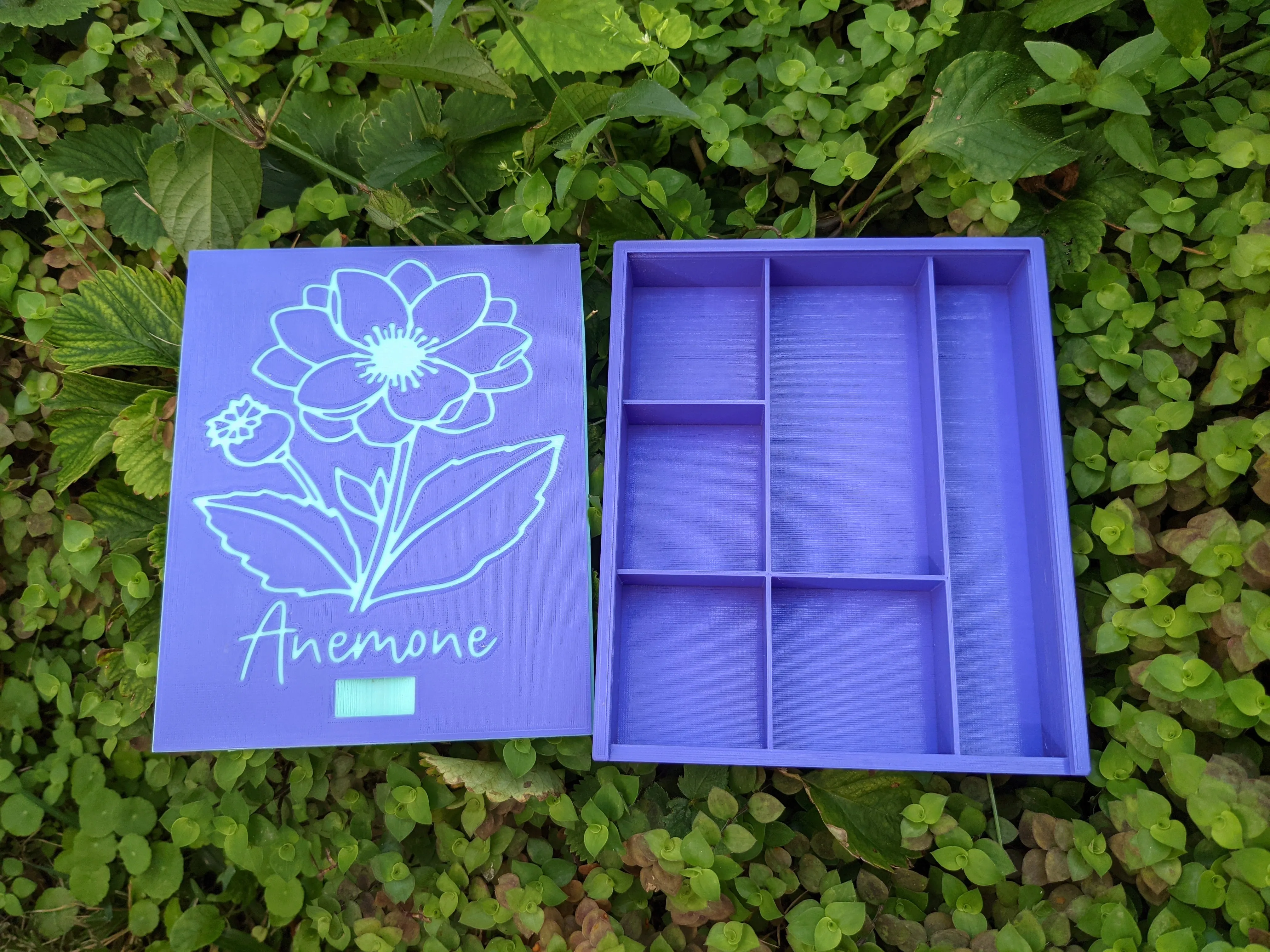 3D printed Notions Box--Anemone