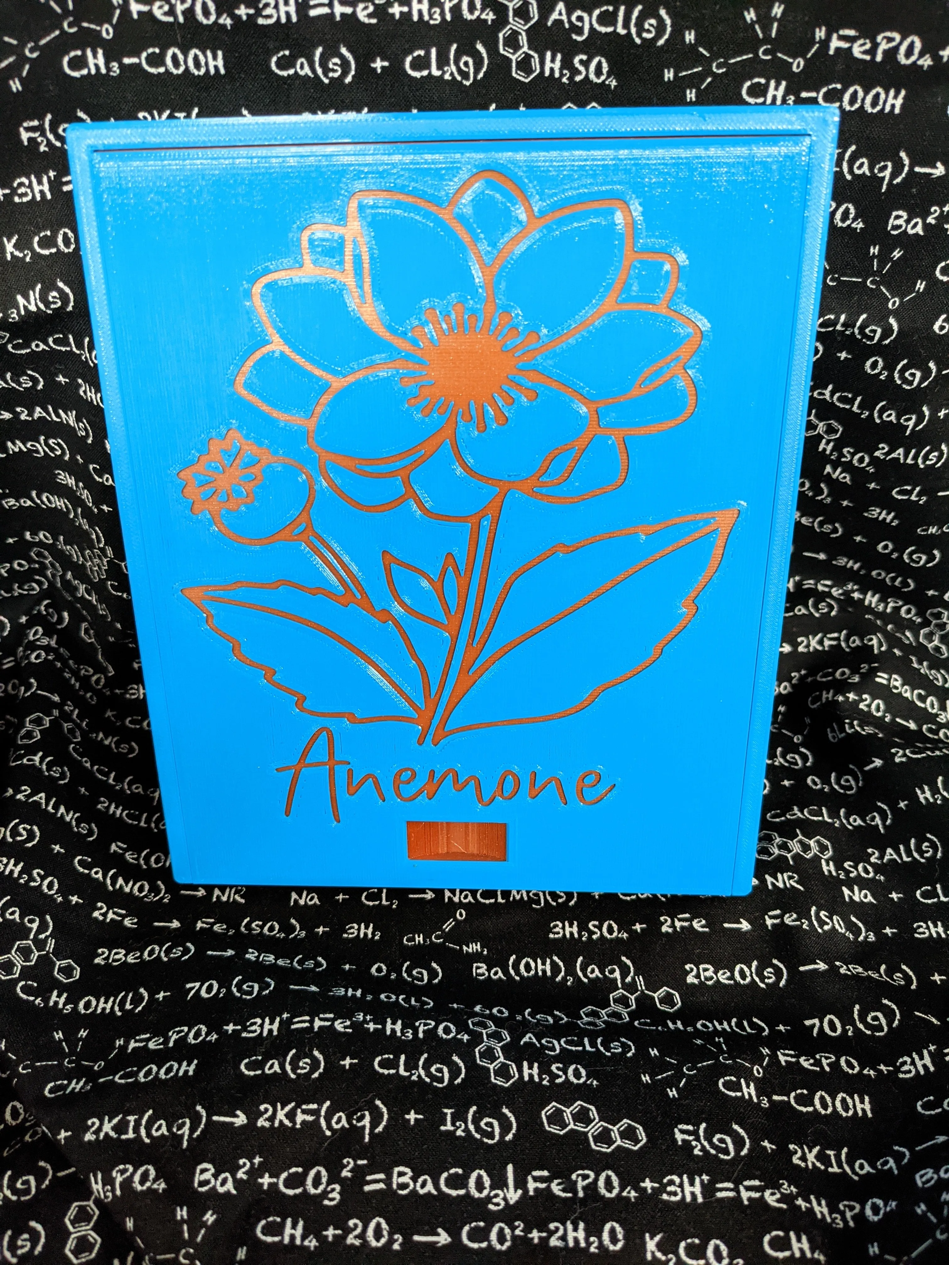 3D printed Notions Box--Anemone