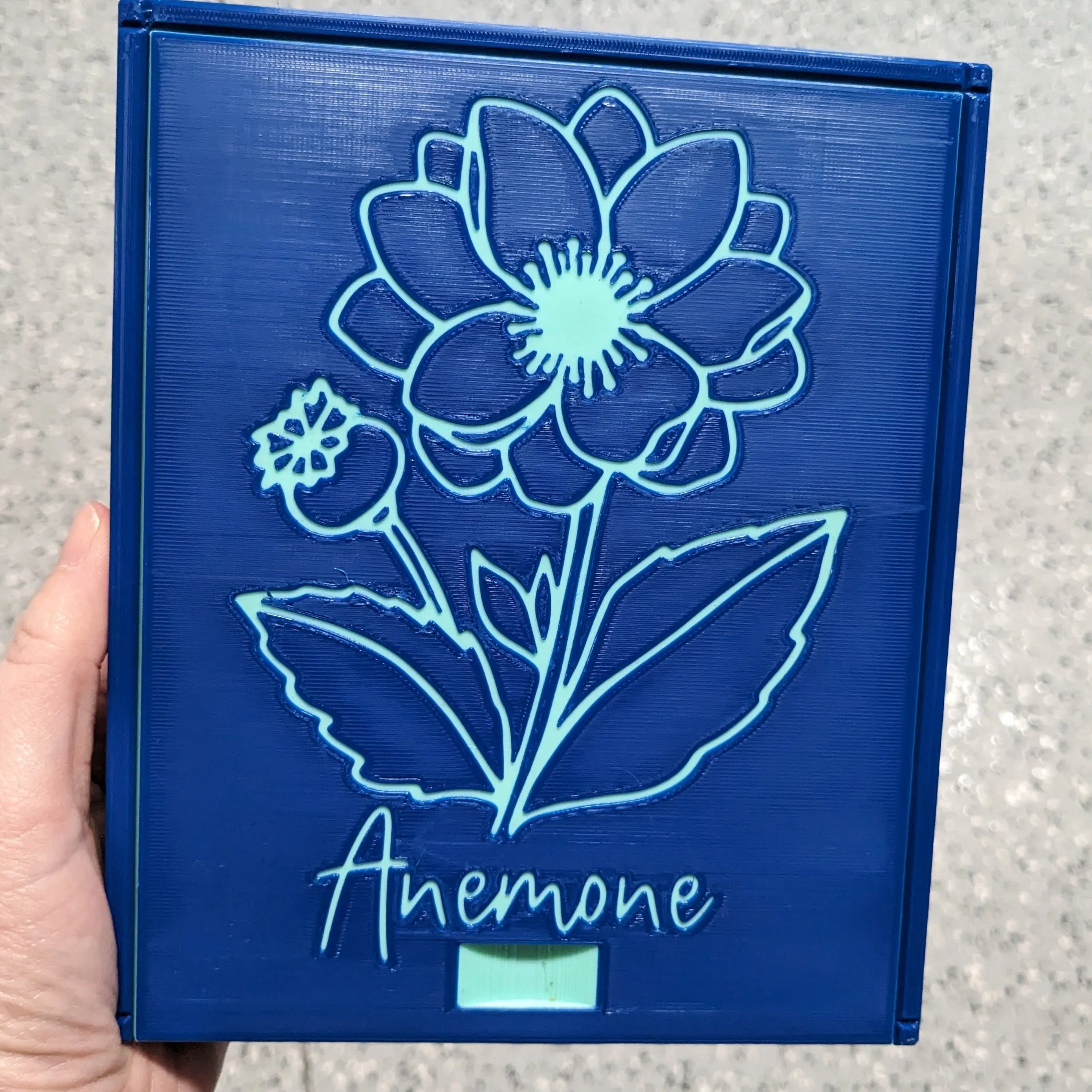 3D printed Notions Box--Anemone