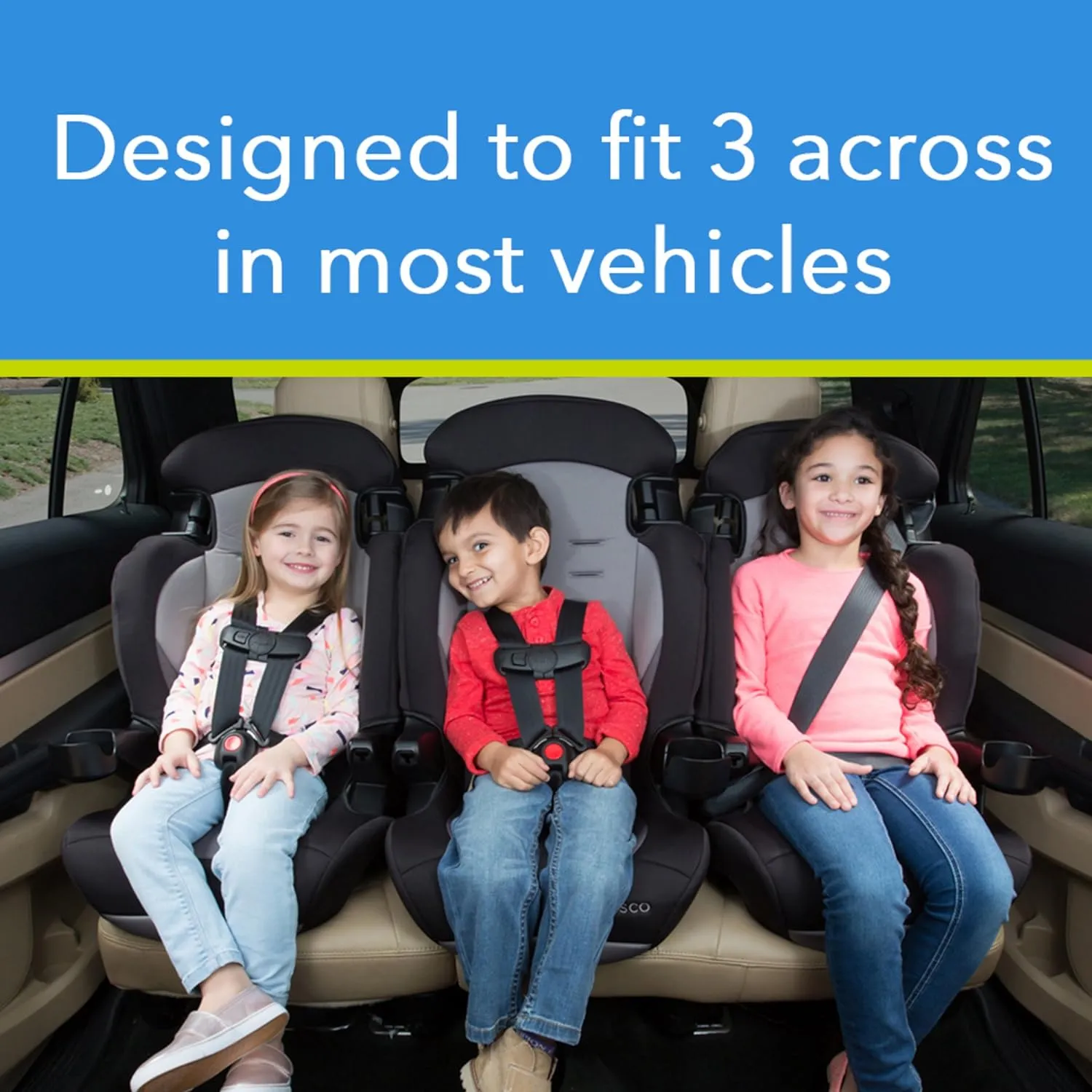 Cosco Finale DX 2-in-1 Booster Car Seat, Dusk