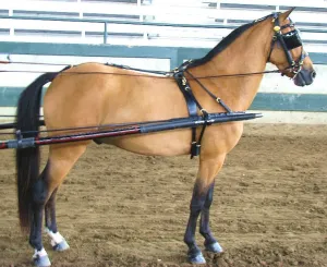 Ozark Dual Headstall Leather Pony Show Harness