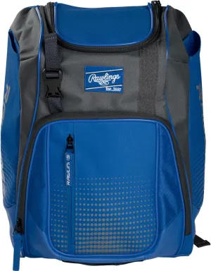 Rawlings | FRANCHISE Backpack Equipment Bag | Baseball/Softball | Rec/Travel | Multiple Styles