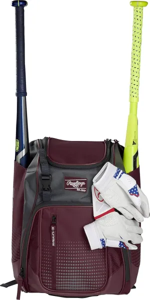 Rawlings | FRANCHISE Backpack Equipment Bag | Baseball/Softball | Rec/Travel | Multiple Styles